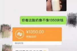 利通为什么选择专业追讨公司来处理您的债务纠纷？